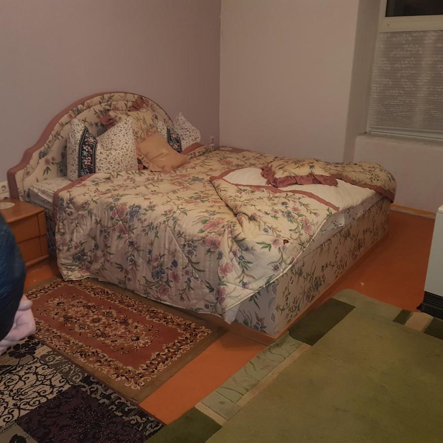 Ferienwohnung Wettin Am Petersbrunnen Dış mekan fotoğraf